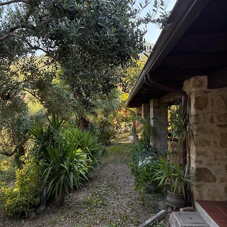 La Casa Di Lidia Cardile